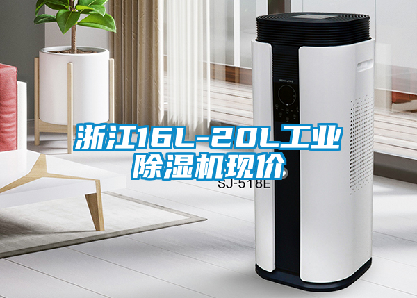浙江16L-20L工業除濕機現價