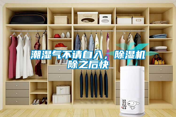 潮濕氣不請自入，除濕機除之后快