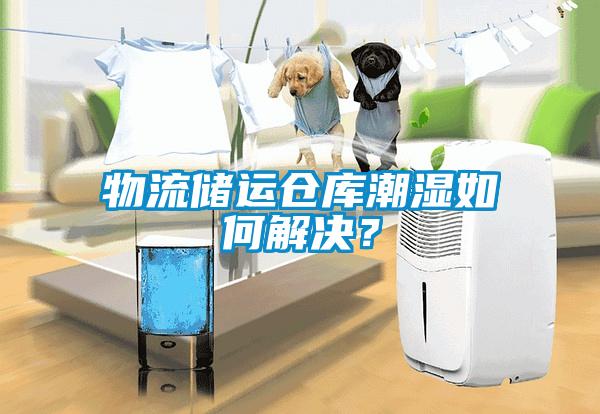 物流儲運倉庫潮濕如何解決？