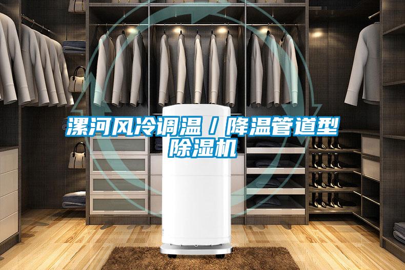 漯河風冷調溫／降溫管道型除濕機
