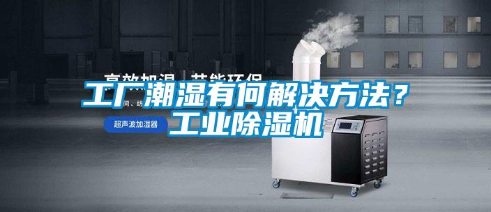 工廠潮濕有何解決方法？工業除濕機