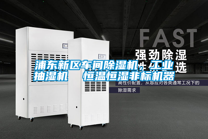 浦東新區車間除濕機，工業抽濕機  恒溫恒濕非標機器