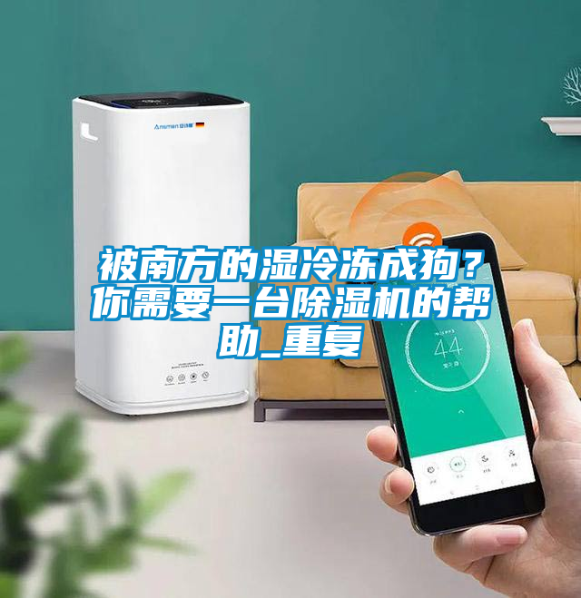 被南方的濕冷凍成狗？你需要一臺除濕機的幫助_重復