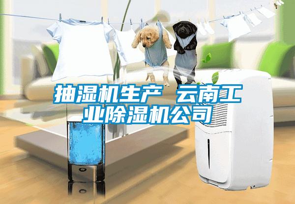 抽濕機生產 云南工業除濕機公司
