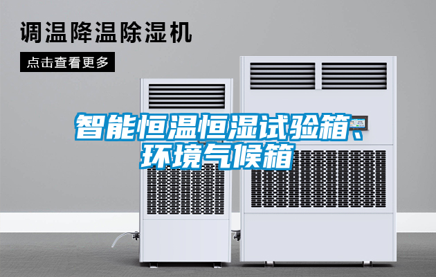 智能恒溫恒濕試驗箱、環境氣候箱