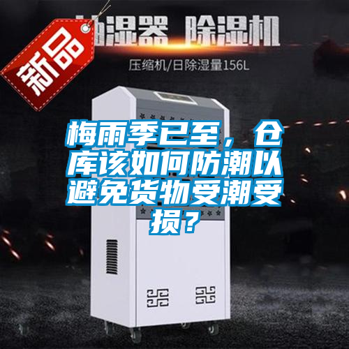 梅雨季已至，倉庫該如何防潮以避免貨物受潮受損？
