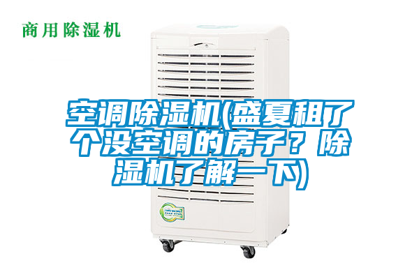 空調除濕機(盛夏租了個沒空調的房子？除濕機了解一下)