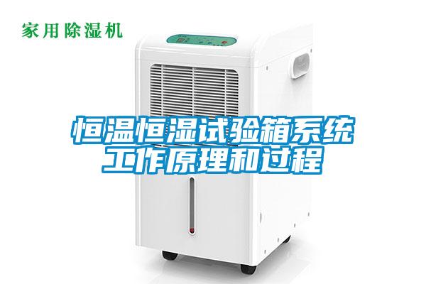 恒溫恒濕試驗箱系統工作原理和過程