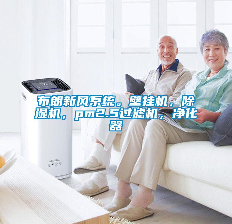 布朗新風系統。壁掛機，除濕機，pm2.5過濾機，凈化器