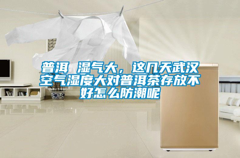 普洱 濕氣大，這幾天武漢空氣濕度大對普洱茶存放不好怎么防潮呢