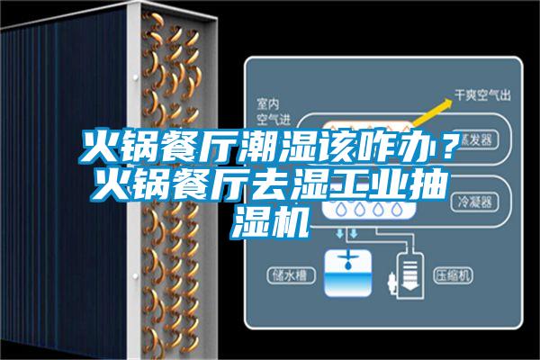 火鍋餐廳潮濕該咋辦？火鍋餐廳去濕工業抽濕機