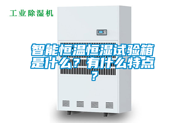 智能恒溫恒濕試驗箱是什么？有什么特點？