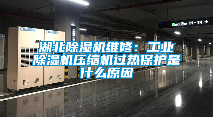 湖北除濕機維修：工業除濕機壓縮機過熱保護是什么原因