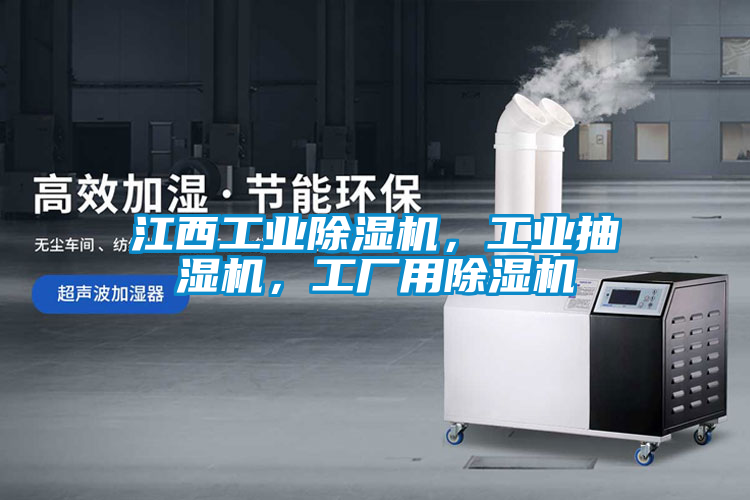 江西工業除濕機，工業抽濕機，工廠用除濕機