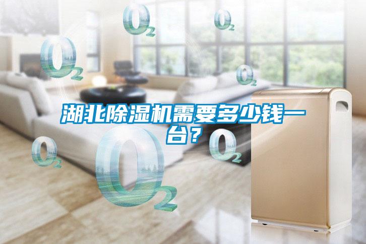 湖北除濕機需要多少錢一臺？