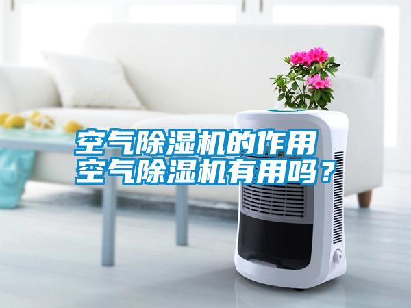 空氣除濕機的作用 空氣除濕機有用嗎？