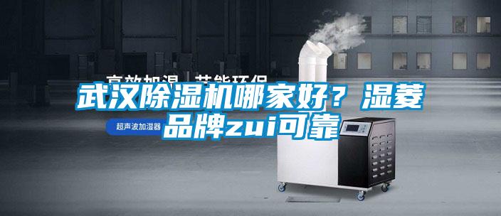 武漢除濕機哪家好？濕菱品牌zui可靠