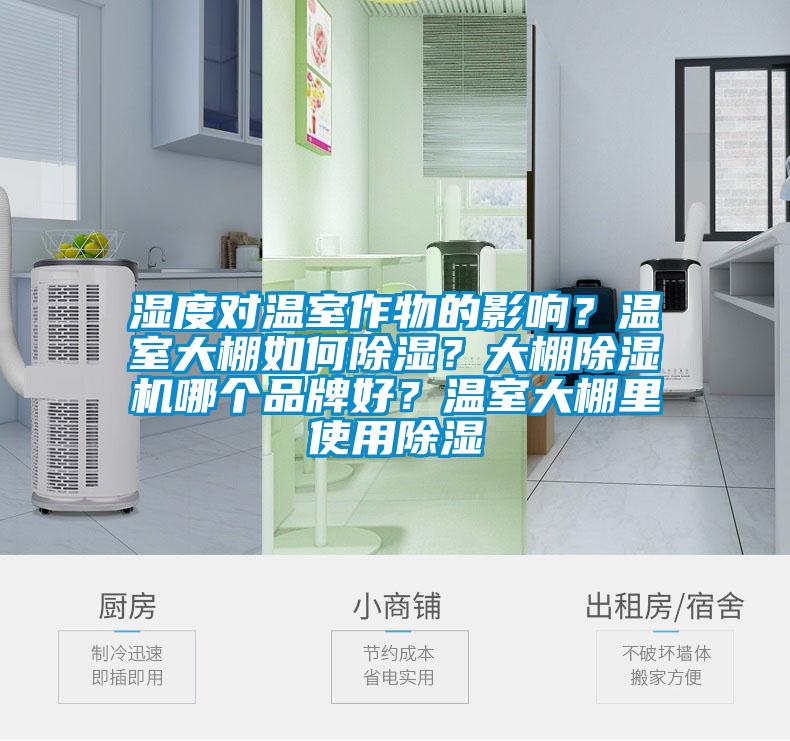 濕度對溫室作物的影響？溫室大棚如何除濕？大棚除濕機哪個品牌好？溫室大棚里使用除濕