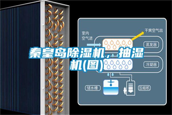 秦皇島除濕機，抽濕機(圖)
