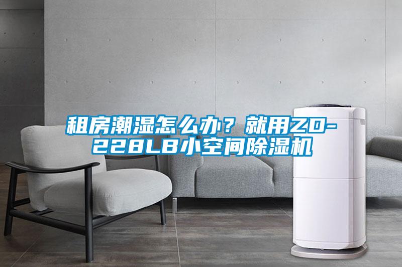租房潮濕怎么辦？就用ZD-228LB小空間除濕機