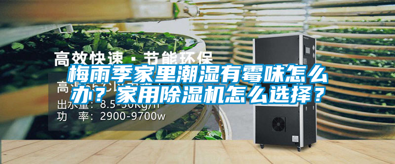 梅雨季家里潮濕有霉味怎么辦？家用除濕機怎么選擇？