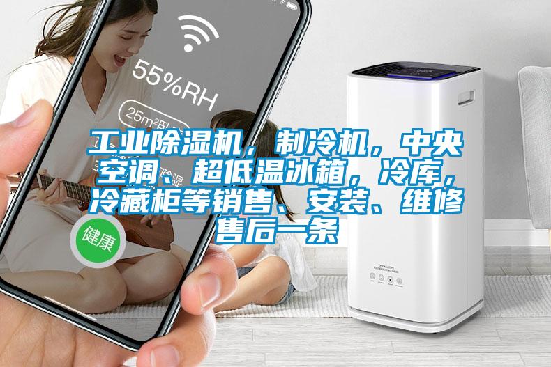工業除濕機，制冷機，中央空調、超低溫冰箱，冷庫，冷藏柜等銷售、安裝、維修售后一條