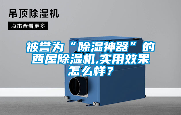 被譽為“除濕神器”的西屋除濕機,實用效果怎么樣？