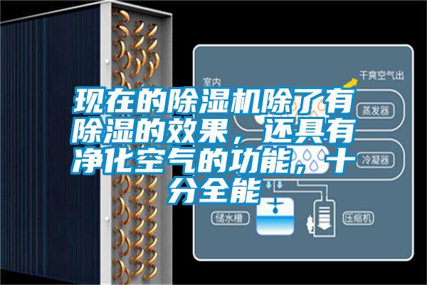 現在的除濕機除了有除濕的效果，還具有凈化空氣的功能，十分全能
