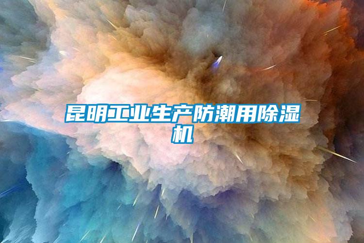 昆明工業生產防潮用除濕機