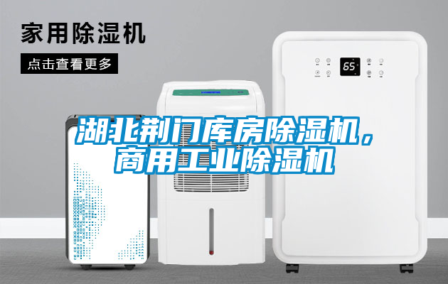 湖北荊門庫房除濕機，商用工業除濕機