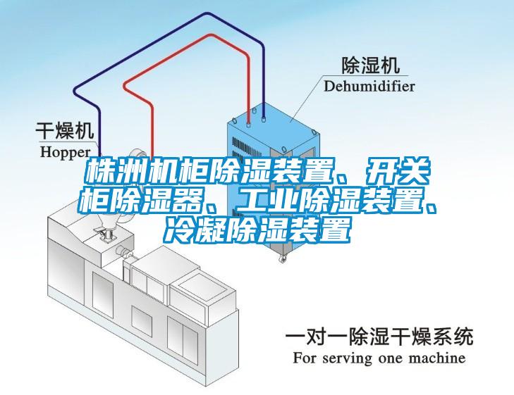 株洲機柜除濕裝置、開關柜除濕器、工業除濕裝置、冷凝除濕裝置