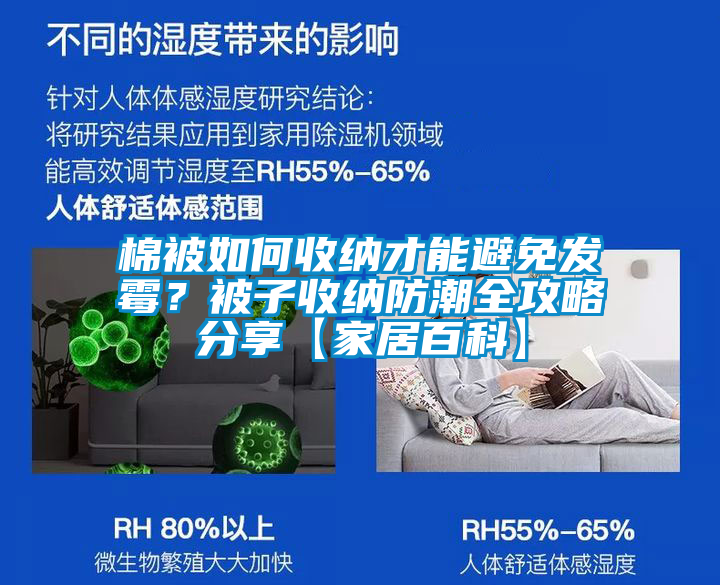 棉被如何收納才能避免發霉？被子收納防潮全攻略分享【家居百科】