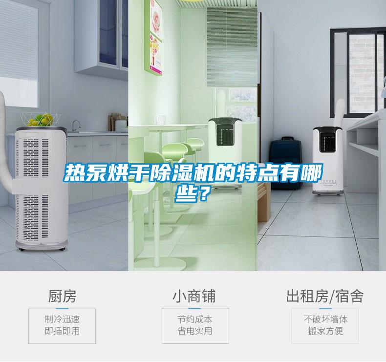 熱泵烘干除濕機的特點有哪些？