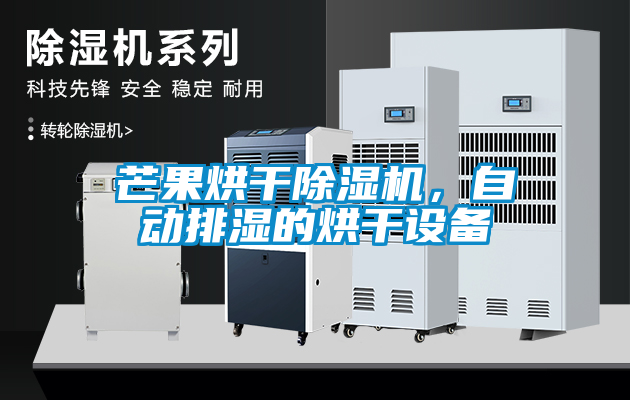 芒果烘干除濕機，自動排濕的烘干設備
