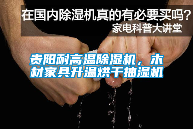 貴陽耐高溫除濕機，木材家具升溫烘干抽濕機