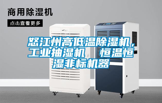 怒江州高低溫除濕機，工業抽濕機  恒溫恒濕非標機器