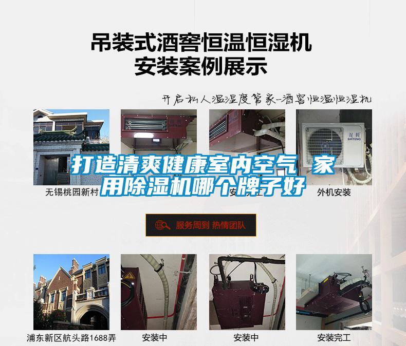 打造清爽健康室內空氣 家用除濕機哪個牌子好