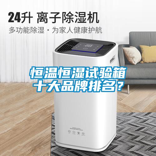 恒溫恒濕試驗箱十大品牌排名？