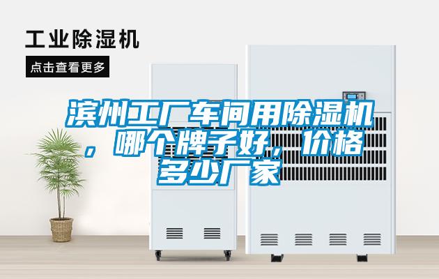 濱州工廠車間用除濕機，哪個牌子好，價格多少廠家