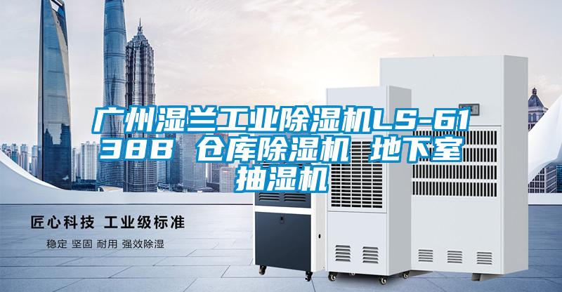 廣州濕蘭工業除濕機LS-6138B 倉庫除濕機 地下室抽濕機