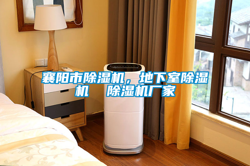 襄陽市除濕機，地下室除濕機  除濕機廠家