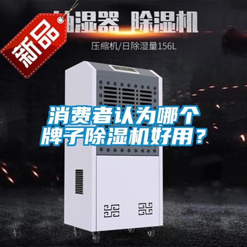 消費者認為哪個牌子除濕機好用？
