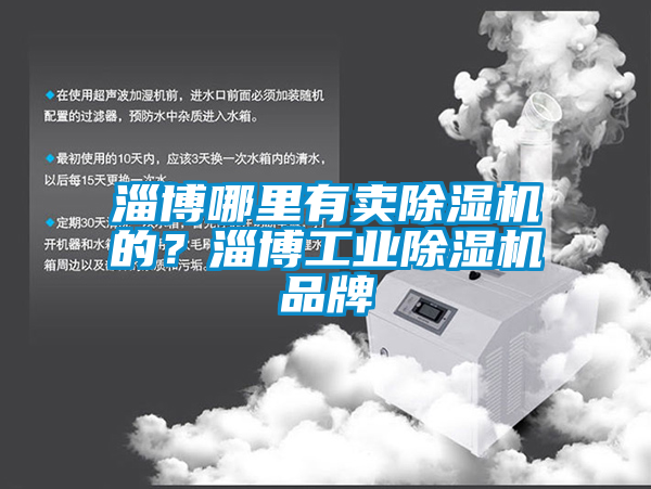 淄博哪里有賣除濕機的？淄博工業除濕機品牌