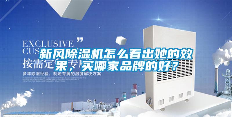 新風除濕機怎么看出她的效果，買哪家品牌的好？