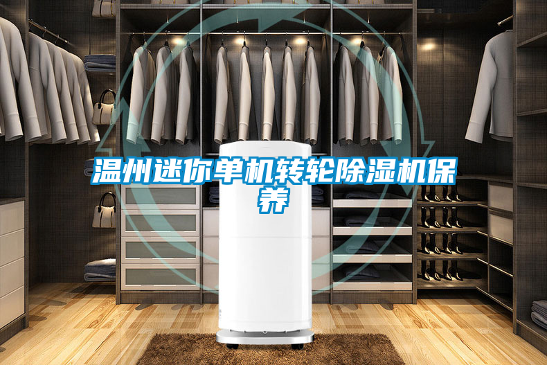 溫州迷你單機轉輪除濕機保養