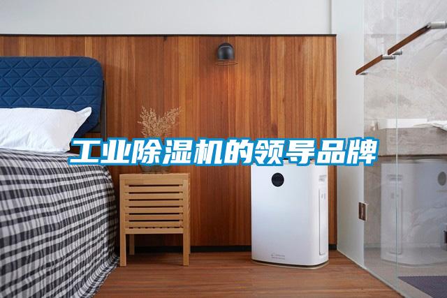 工業除濕機的領導品牌