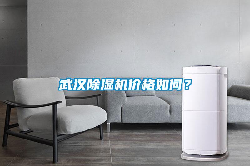 武漢除濕機價格如何？
