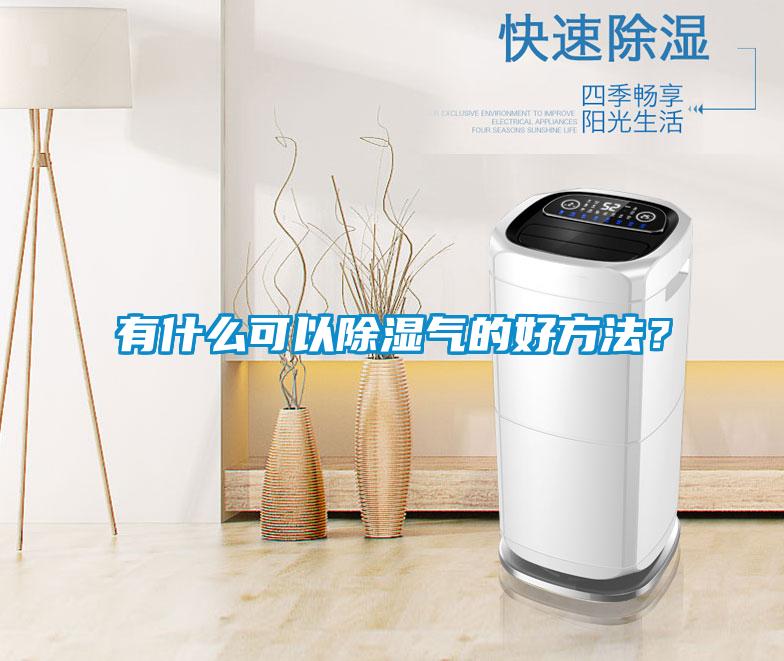 有什么可以除濕氣的好方法？