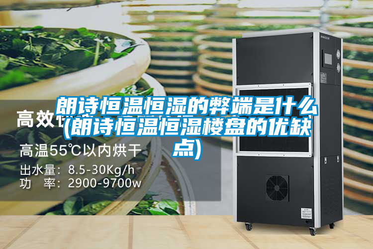 朗詩恒溫恒濕的弊端是什么(朗詩恒溫恒濕樓盤的優缺點)