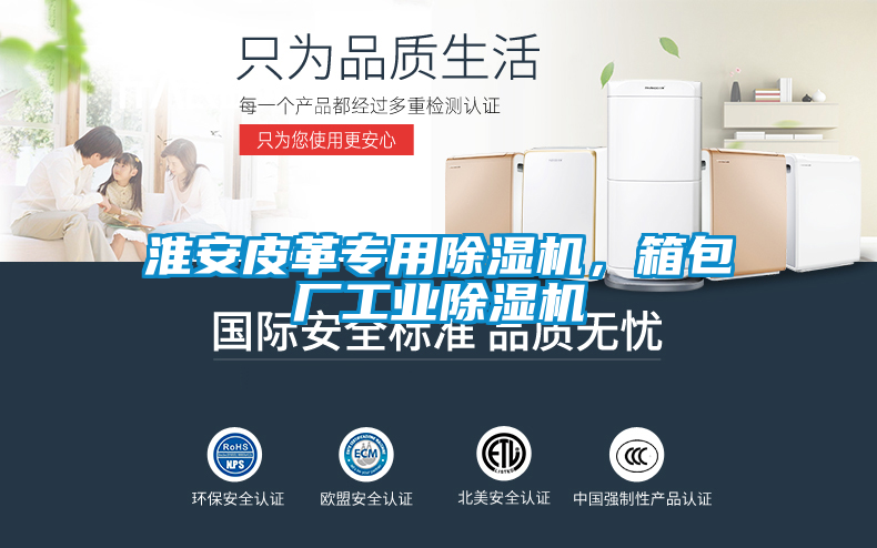 淮安皮革專用除濕機，箱包廠工業除濕機